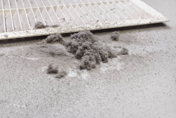 Best HVAC System Cleaning  in Pierson, FL