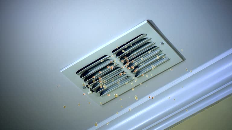  Pierson, FL Airduct Cleaning Pros